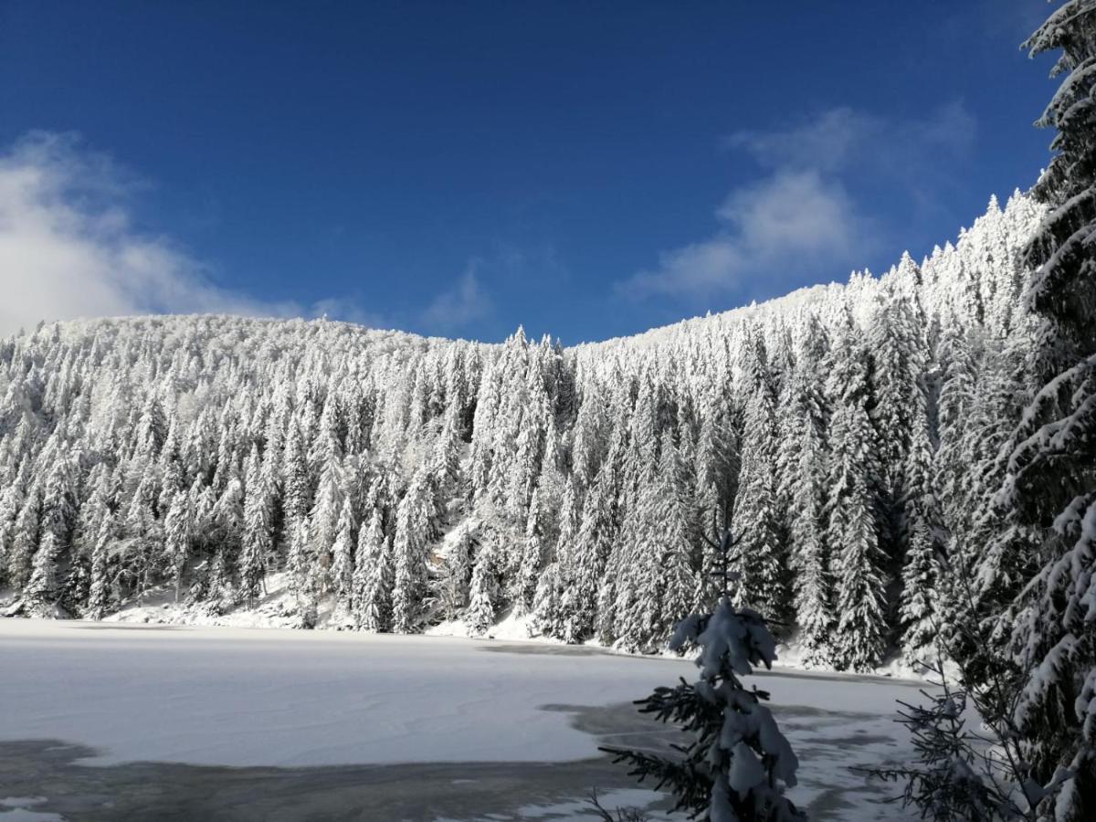 Appartamento Le Winzer Bergheim Esterno foto