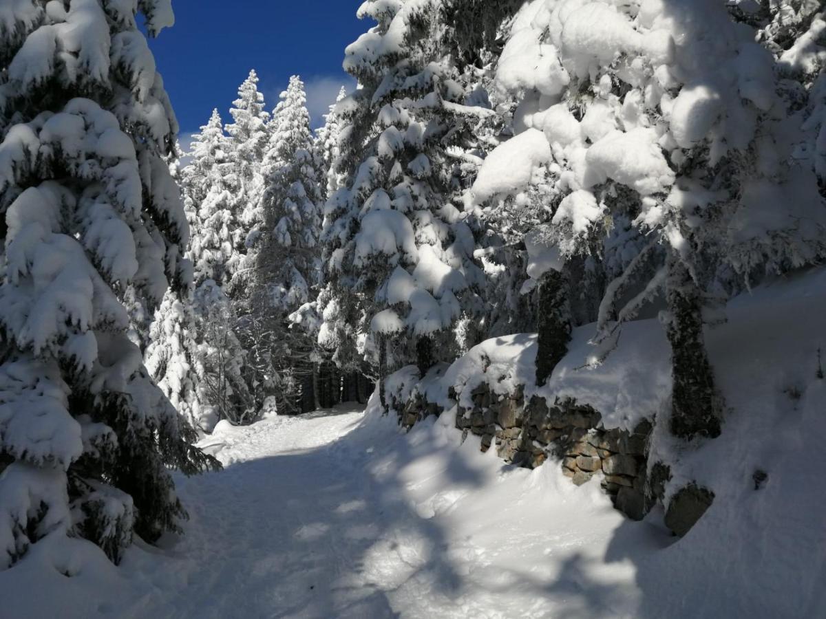 Appartamento Le Winzer Bergheim Esterno foto