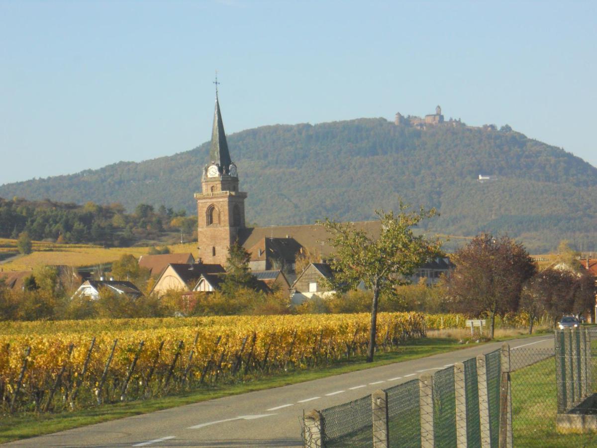 Appartamento Le Winzer Bergheim Esterno foto