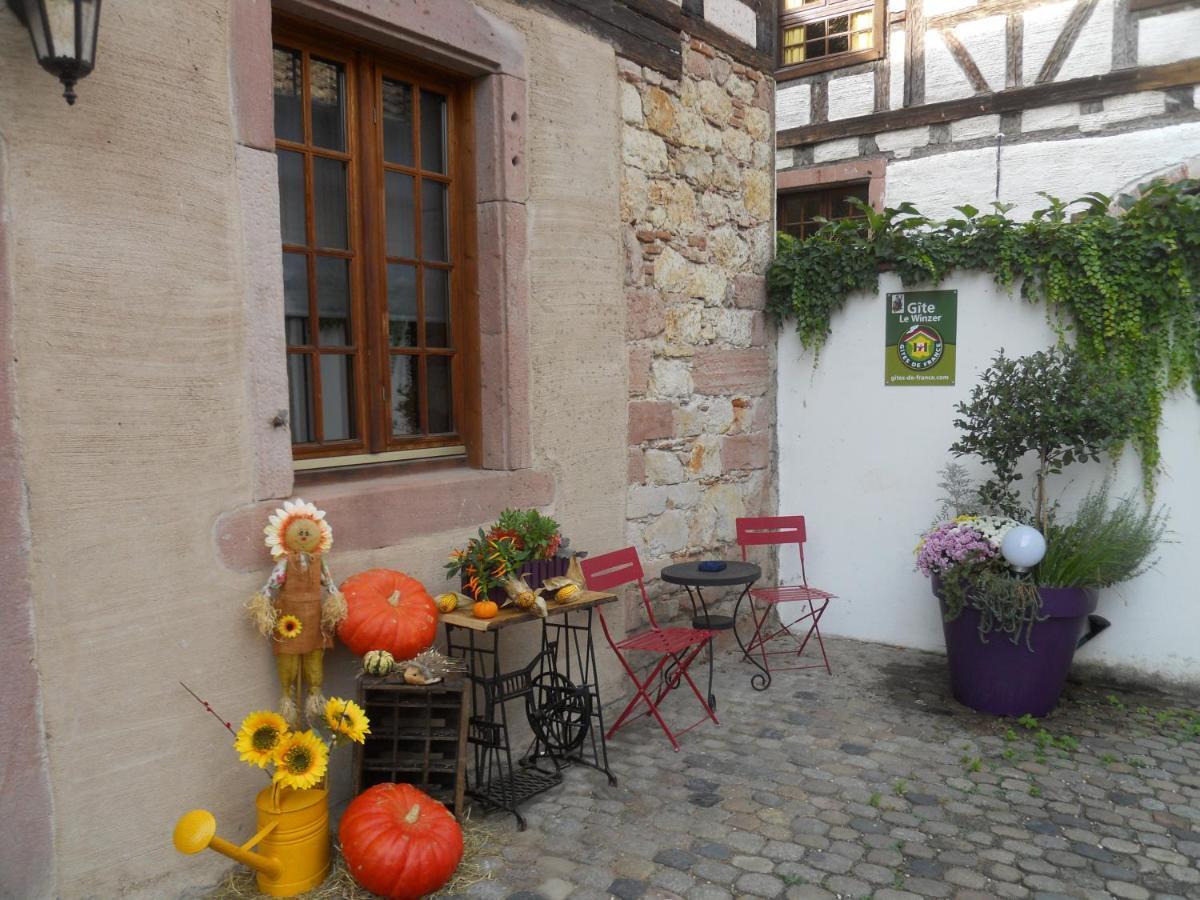Appartamento Le Winzer Bergheim Esterno foto